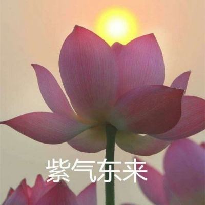 热血皇图历史版下载